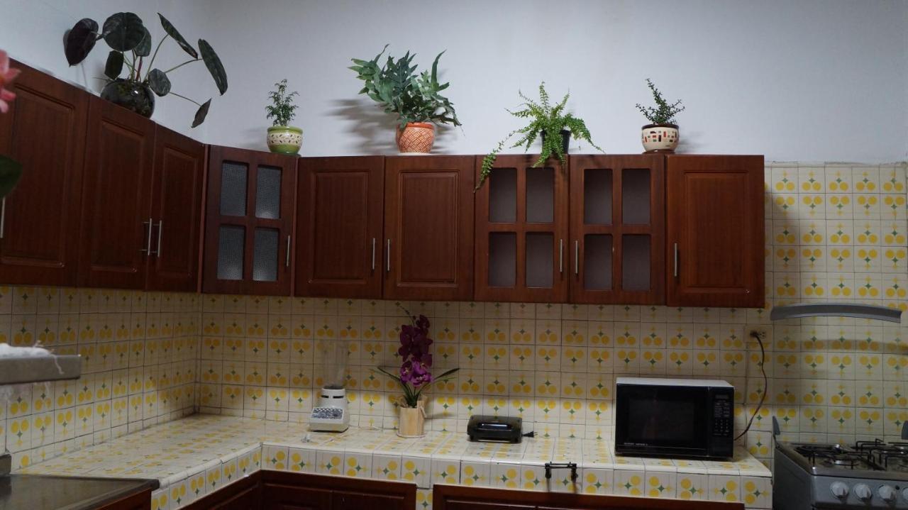 El Jardin De La 10 Hotel Medellín Eksteriør billede