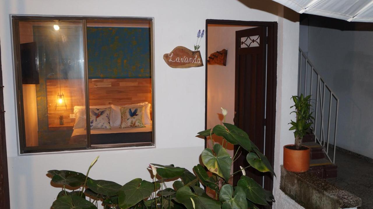 El Jardin De La 10 Hotel Medellín Eksteriør billede
