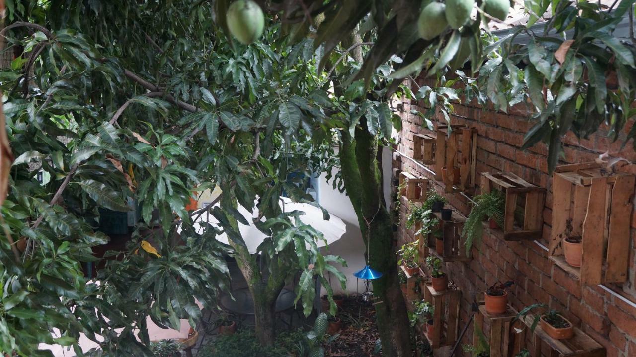 El Jardin De La 10 Hotel Medellín Eksteriør billede