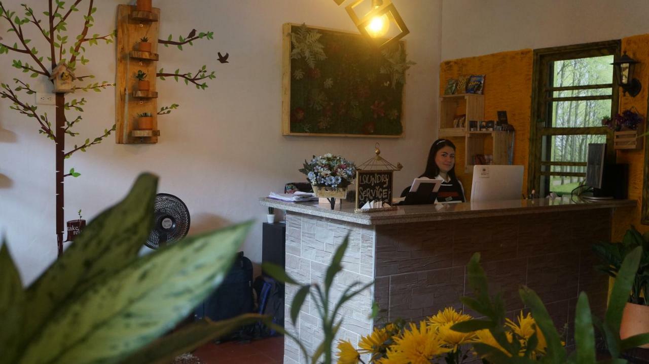 El Jardin De La 10 Hotel Medellín Eksteriør billede