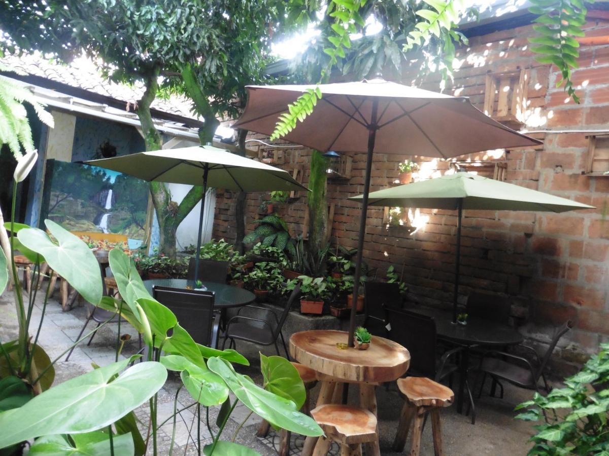 El Jardin De La 10 Hotel Medellín Eksteriør billede